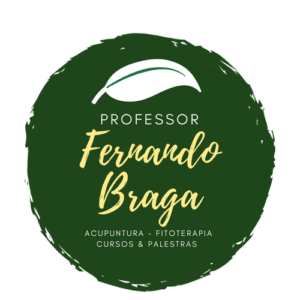Professor Fernando Braga