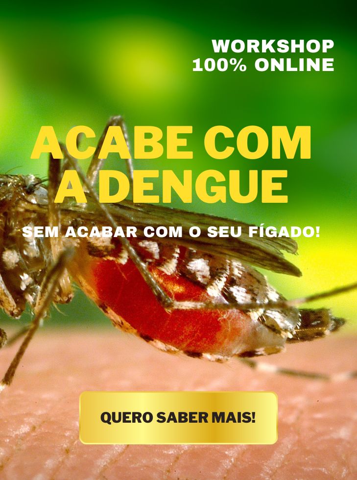 15 - dengue_capa